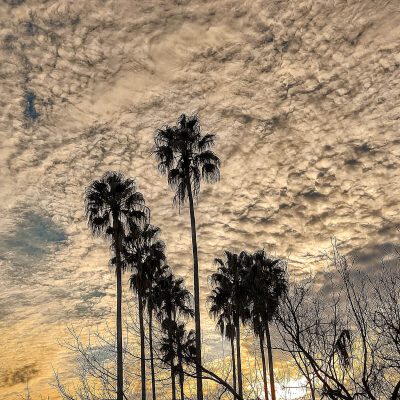 IMG_20210723_170857227_HDR~2